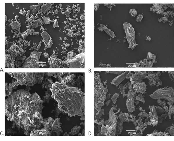 ����̿750�Ŵ󱶔�(sh��)��SEM�D��